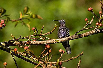 《机动战士高达：激战任务2》下载量突破500万 官方举办感谢活动